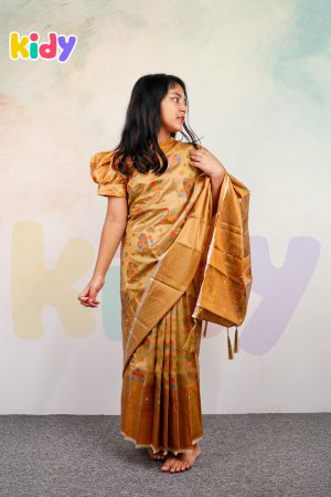 BS-06 বেবি রেডি কাতান শাড়ি